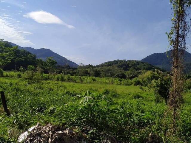 #14 - Chácara para Venda em Maricá - RJ - 3