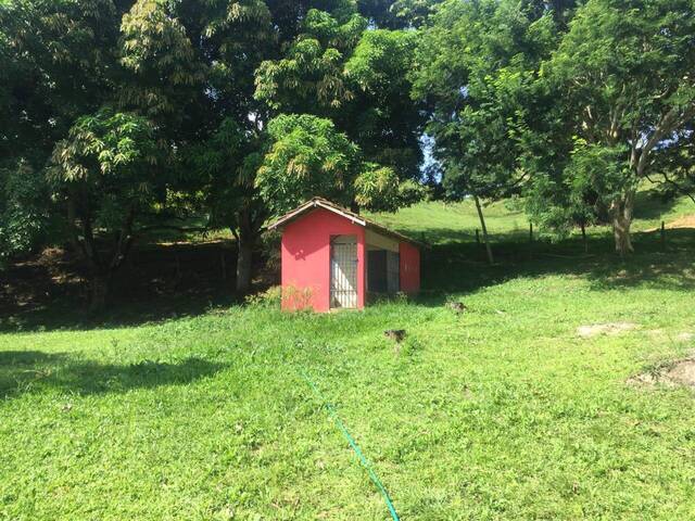 Fazenda para Venda em Silva Jardim - 4