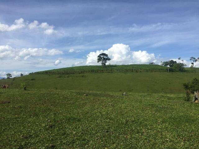 #81 - Fazenda para Venda em Silva Jardim - RJ - 1