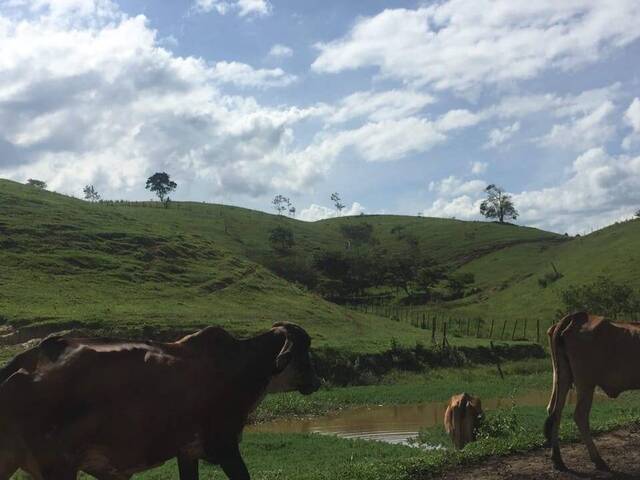 Fazenda para Venda em Silva Jardim - 5