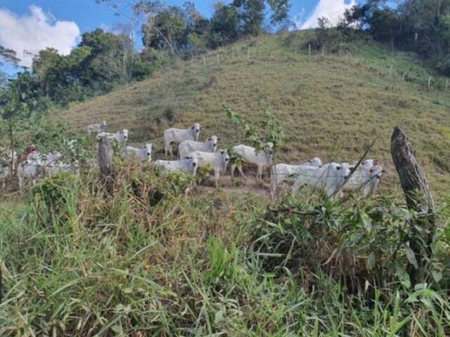 #82 - Fazenda para Venda em Silva Jardim - RJ - 1