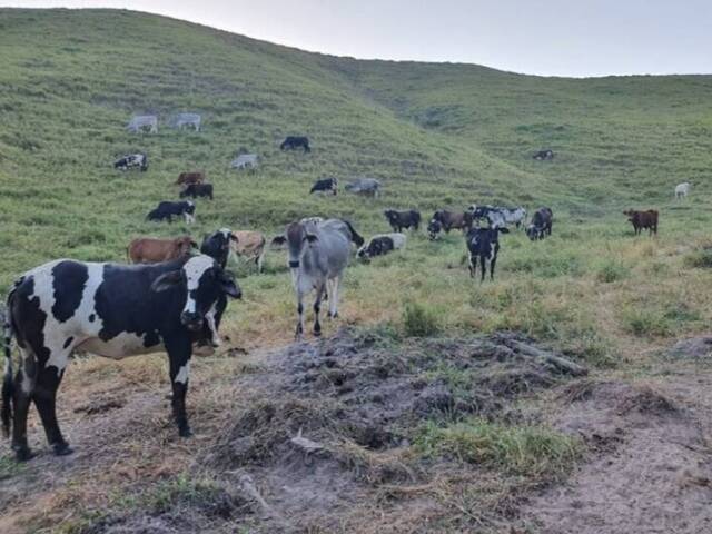 Fazenda para Venda em Silva Jardim - 5