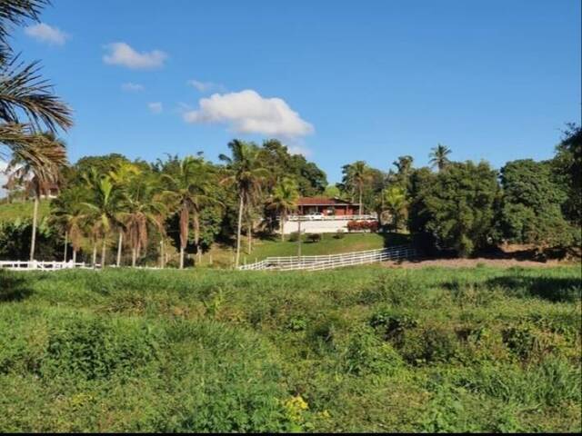 #83 - Fazenda para Venda em Cachoeiras de Macacu - RJ