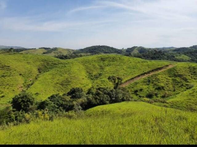 Fazenda para Venda em Cachoeiras de Macacu - 4